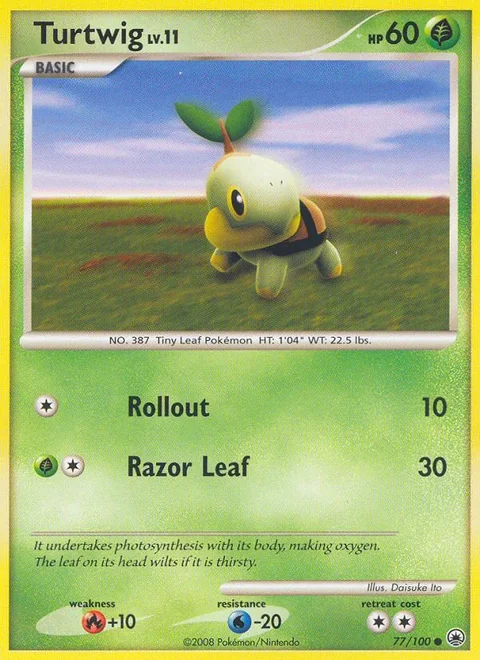 Turtwig 77
