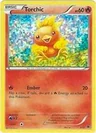 Torchic