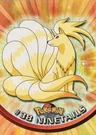 Ninetails Rainbow Foil 38