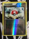 Poke Ball Reverse Holo 110