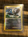 Staravia Reverse Holo 64
