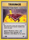Cinnabar City Gym 113