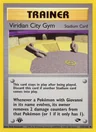 Viridian City Gym 123