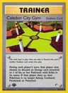 Celadon City Gym 107