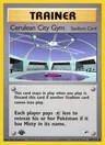 Cerulean City Gym 108