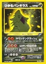 Shining Tyranitar 248