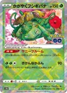 Radiant Venusaur 4