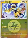 Zeraora Energy 55