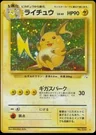 Raichu 26