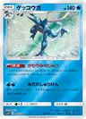 Mega Greninja Ex 120