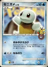 Squirtle 9Dpt P