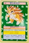 Sandslash Green Back 28