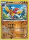 Archen Reverse Holo 66