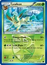 Leafeon State Championships 11