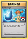 Gym Badge Xy204