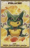 Rayquaza Poncho Wearing Pikachu