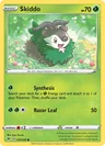Skiddo 17