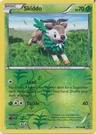 Skiddo Reverse Holo 18